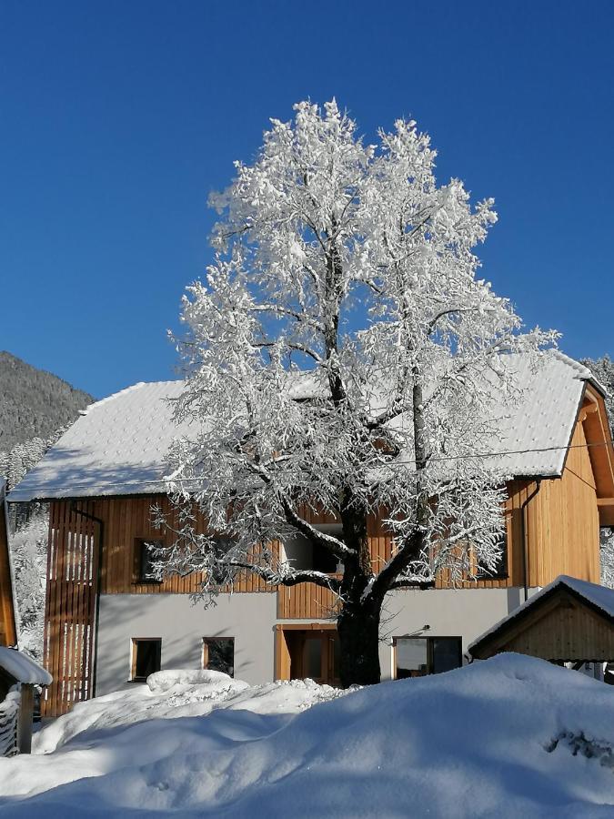 Apartments Gorski Raj Kranjska Gora Esterno foto